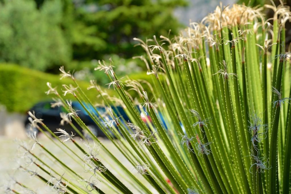 Hotel Lido Limone sul Garda Zewnętrze zdjęcie